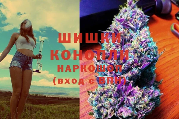 2c-b Алзамай