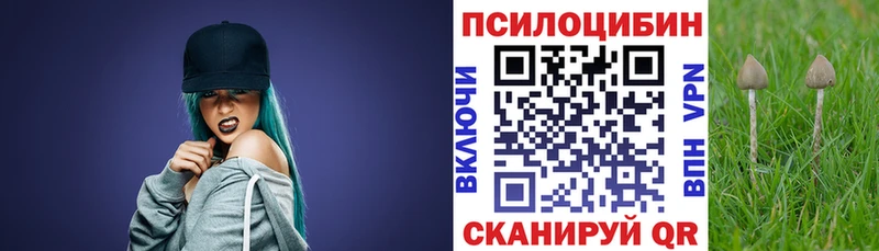 Псилоцибиновые грибы Cubensis  что такое   кракен сайт  Николаевск 